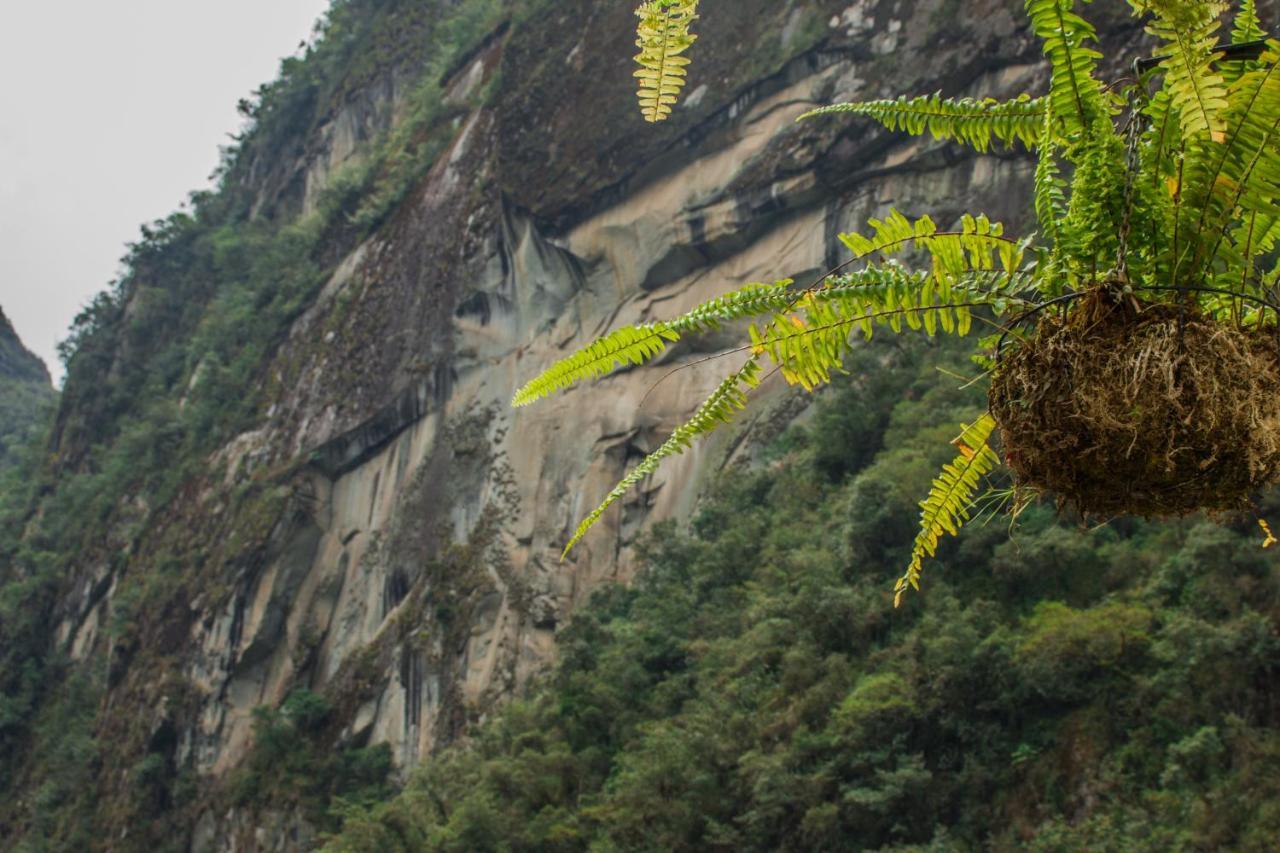Runas Inn Machupicchu Luaran gambar